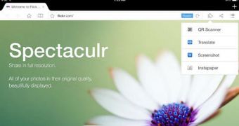 Mercury Web Browser example
