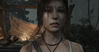 The new Tomb Raider is looking very good on PC