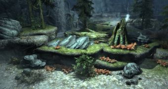 Skyrim looks better with Nvidia drivers