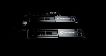 GeForce / Verde 295.51 display drivers are available
