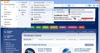 Portable Firefox packs the same features as the original browser