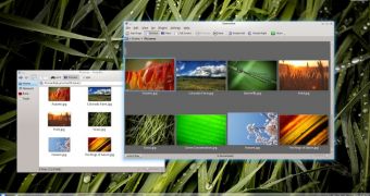 KDE Software Compilation 4.8 will be released in January 2012