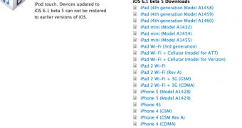 iOS 6.1 beta 5 release (screenshot)