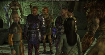 Dragon Age: Origins – These Are Not the Elves You Know