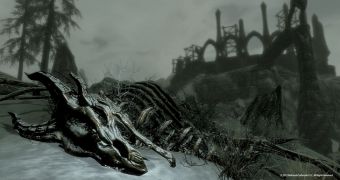 Dragonborn will hit the PC and PS3 soon