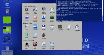 Dreamlinux Control Panel and a terminal