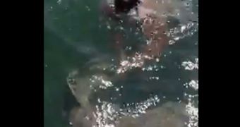 Drew Rosenhaus swims with a shark, grabs it