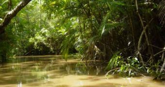 Study finds oil and gas drilling activities have contaminated part of the Amazon