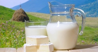 Study finds evidence milk benefits the brain