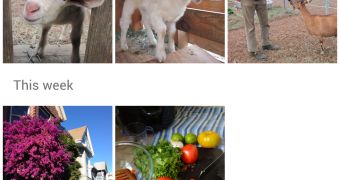 Dropbox for Android 2.2 Brings a New Photo Gallery