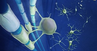 Drugs designed to treat skin conditions could also prove effective against multiple sclerosis