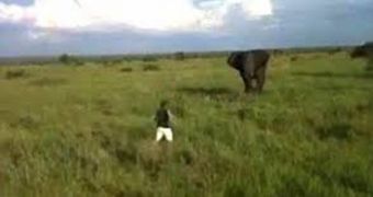 Drunk man scares off elephant