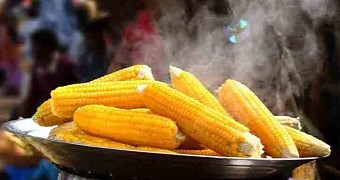 Dude Breaks Into a House, Gets Busy Cooking Corn