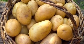 This past Sunday, a man in the US clogged his toilet with potatoes