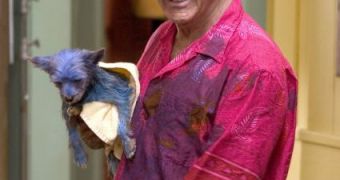Dustin Hoffman Gets $7.5 Million for 5 Days on ‘Little Fockers’