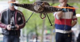 Dutch Man Turns His Dead Cat into a Helicopter