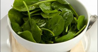 E. Coli Concerns Prompt Baby Spinach Recall