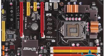 ECS rolls out its P55 motherboard