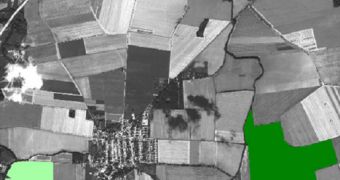 Cornfield classification via satellite (KM: conventional; KMO organic). These were computed using a WorldView-2 satellite image acquired on August 10, 2010