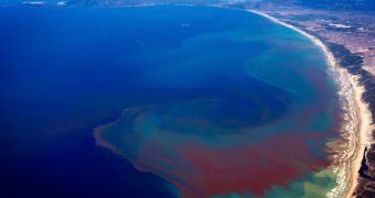 MERIS will be able to analyze red tides such as this one from orbit