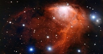 Space image shows the RCW 34 nebula