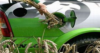 EU might soon cut down biofuel subsidies