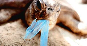 The EU asks Member States to limit their use of plastic bags