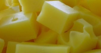 A low-calorie diet rich in cheese and dairy products leads to faster and more successful weight loss, researchers learn