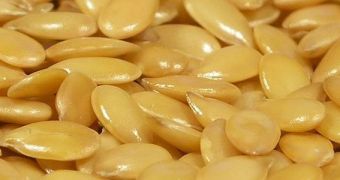 Flax seeds contain high amounts of omega-3 fatty acids