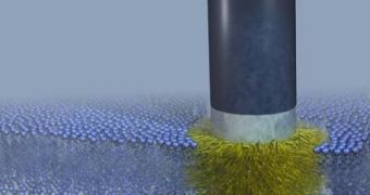 New nanoscale probe can bind to a cellular wall seamlessly