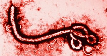 Researchers want to treat Ebola using blood and plasma from survivors