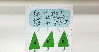 Plantable Christmas cards sprout wildflowers, feature green-oriented illustrations