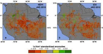 These maps show the areas most affected by the 2010 Amazon basin droughts