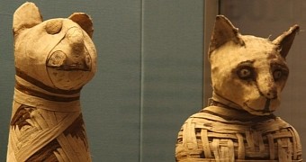 Ancient Egyptians mummified not just people but also animals