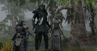 Elder Scrolls Online First-Person Mode Will Not Show Hands or Weapons