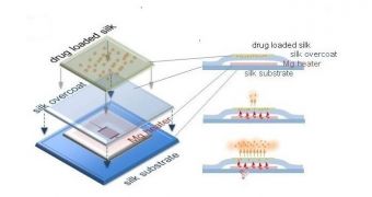 Electronic Implant Can Eliminate Bacterial Infections in Minutes