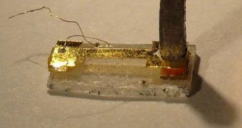 Electrons Behave like Photons in Bismuth