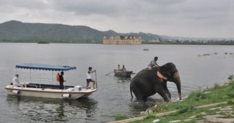 Elephant in India almost drowns in a lake, owner manages to rescue her