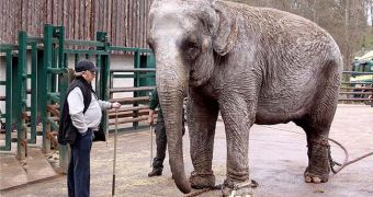 Elephant owners accused of animal cruelty are taken to court