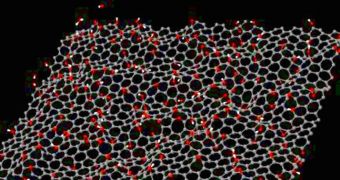 Distortions in graphene, caused by oxygen atoms