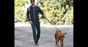 Andrew Garfield is happy to take Ren out for a walk