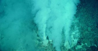 Hydrothermal vents are extreme environments that are highly acidic and very hot. Life is believed to have in their vicinity