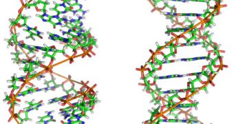 Enzymes and electrical current facilitate the passing of DNA strands through nanopores