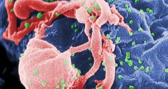 The HIV virus latches onto a cell and injects its genetic material inside