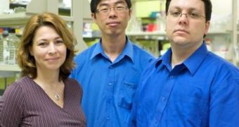 Liisa Tremere, Jin Jeong, and Raphael Pinaud, the three UR researchers who have shown that estrogen plays an important part in audio processing in the human brain