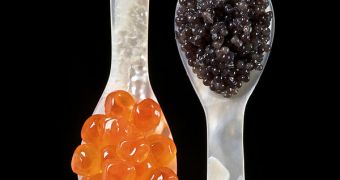 Salmon roe (left) and sturgeon caviar (right) served with mother of pearl caviar spoons