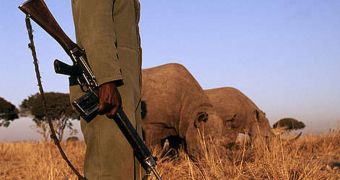 The WWF urges that wildlife crime be put an end to as soon as possible