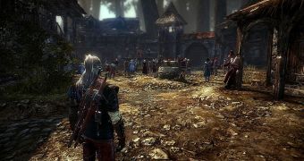 Screenshot from The Witcher 2