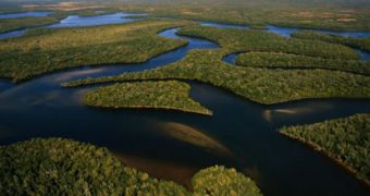 Aerial view of Everglades
