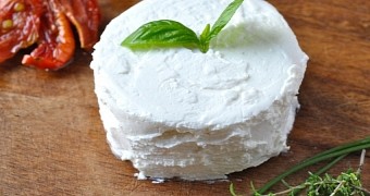 Everlasting Cheese: New Antimicrobial Coating Keeps Cheese Fresh for Longer